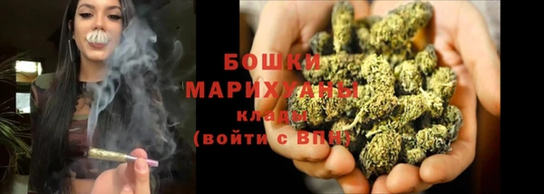 ГАЛЛЮЦИНОГЕННЫЕ ГРИБЫ Михайловск