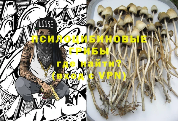 мескалин Михайлов