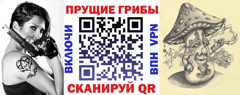 купить наркоту  Ачхой-Мартан  Псилоцибиновые грибы мицелий 